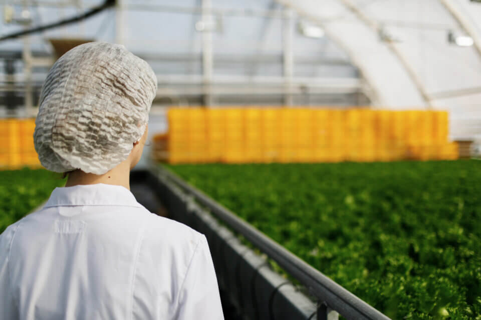 blog-espacio-eme-2022-subvenciones-agroalimentarias-sector